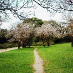 El parque urbano de Syngrou en Atenas