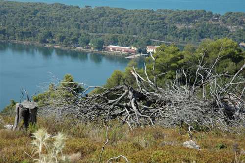 Senderismo en el río Neda, leyendas y naturaleza